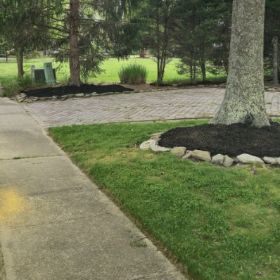 Sandoval Brothers Services LLC